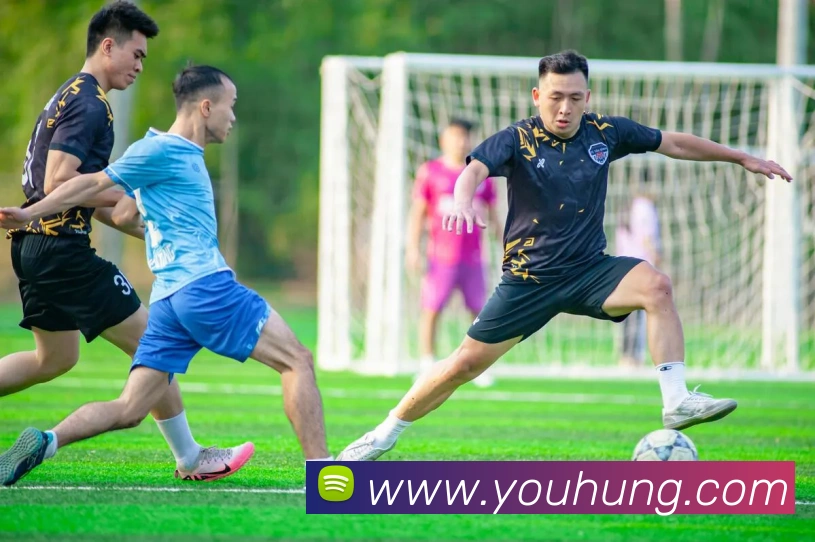 aoa官方网页版入口APP 封面图